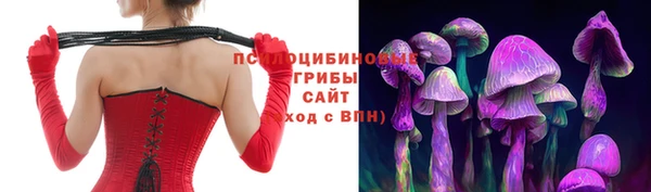 ECSTASY Бугульма