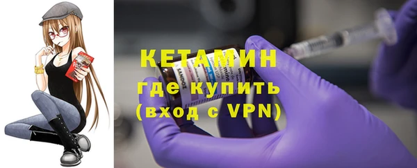 индика Володарск