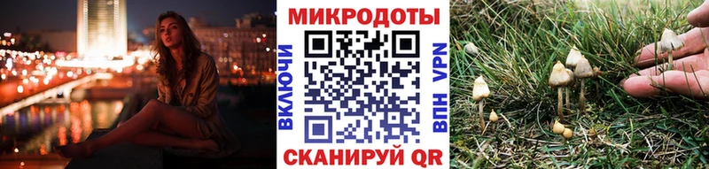 Галлюциногенные грибы ЛСД  Купить где  Новоалтайск 