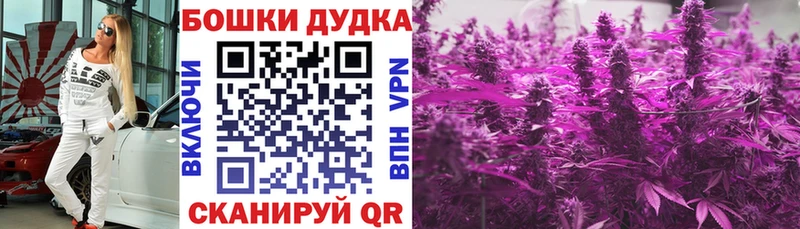 Конопля ГИДРОПОН  Купить где  Новоалтайск 